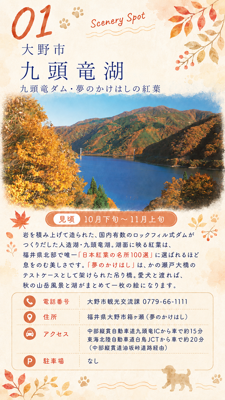 大野市 九頭竜湖