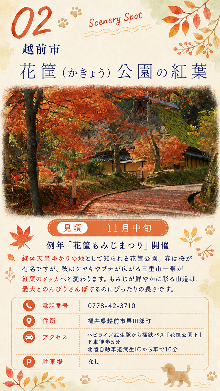 越前市 花筐公園の紅葉