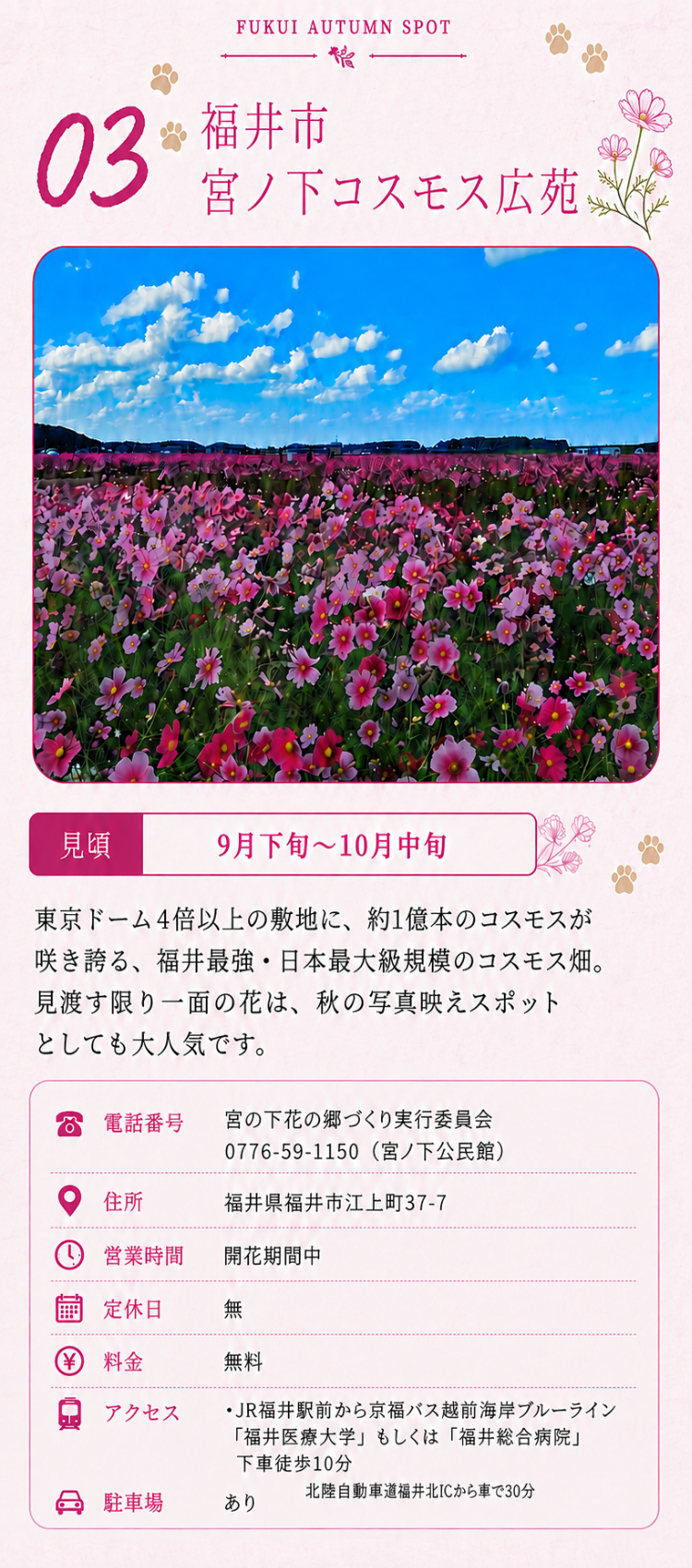 福井市 宮ノ下コスモス広苑