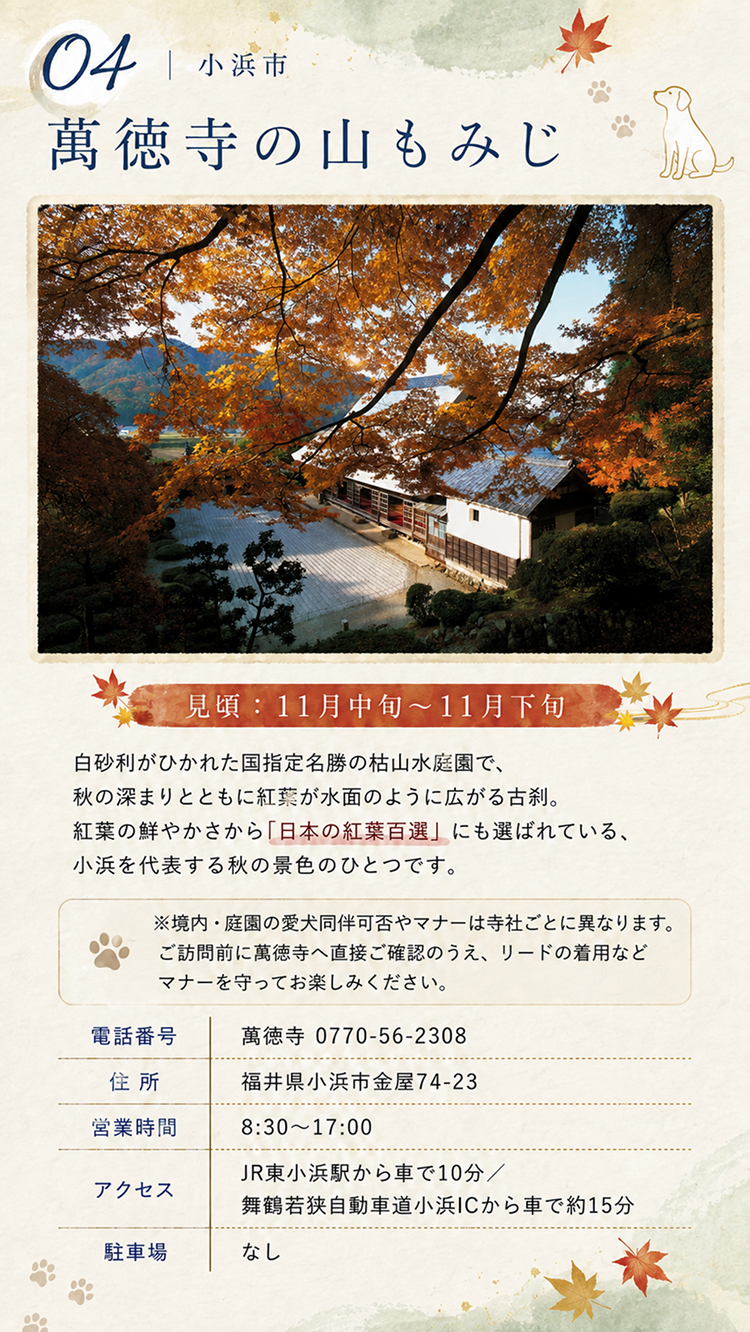 小浜市 萬徳寺の山もみじ