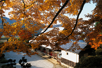 小浜市 萬徳寺の山もみじ
