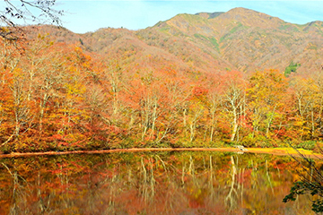 大野市 刈込池