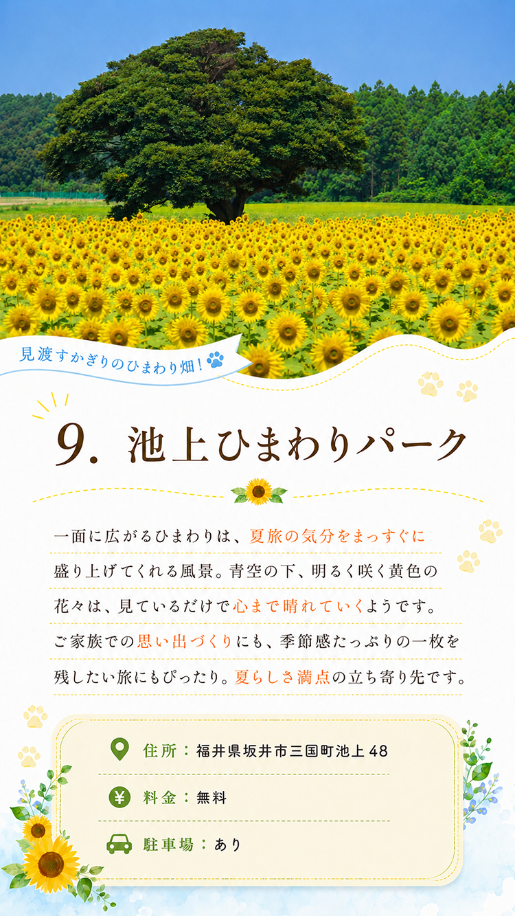 池上ひまわりパークに咲く一面のひまわり