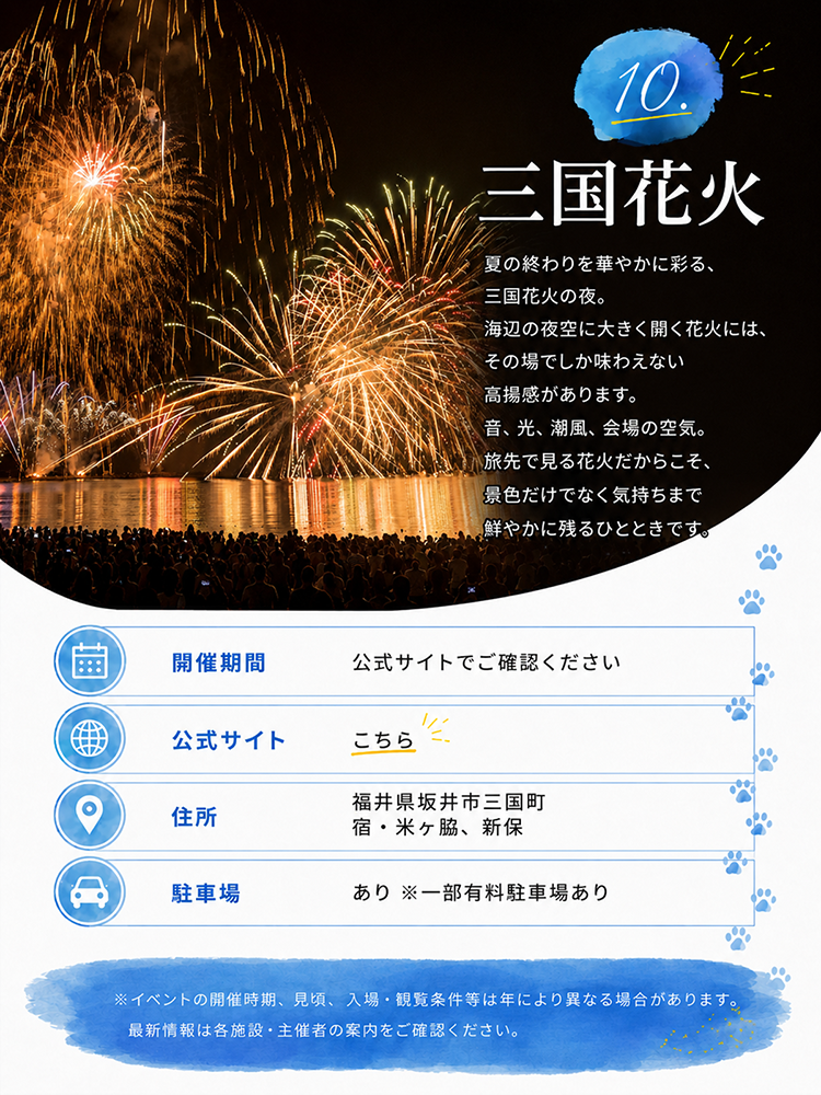 夜空を彩る三国花火