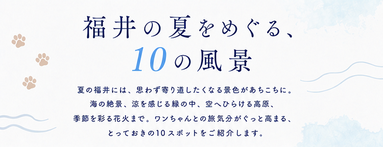 福井の夏をめぐる、10の風景