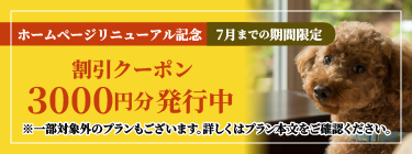 館内利用券3000円分プレゼント